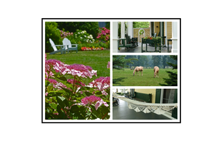 Cape May Benches, Porch, Horses and Hammock Collage