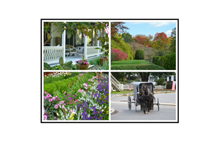Cape May, Longwood Gardens, English Garden, and Amish Horse and Carriage Collage