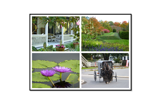 Cape May, Longwood Gardens, Purple Lotus, and Amish Horse and Carriage Collage