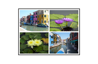 Burano Boats in Italy and Lotus Collage