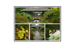 Wooden Bridges, Roses, and Butterfly Collage