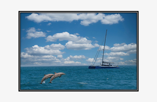 boat and jumping dolphins