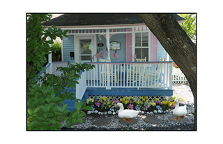 colorful cottage with ducks