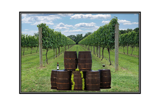 vineyard, wine barrels, wine bottle, wine glass and green grapes