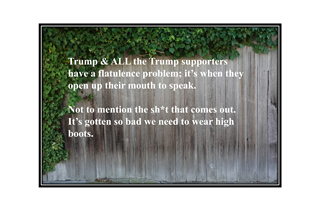 Trump & ALL Trump supporter flatulence problem