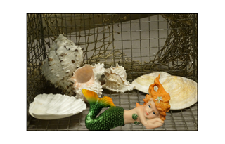 mermaid in a cage of seshells