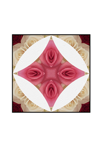 Valentine Day white and red roses