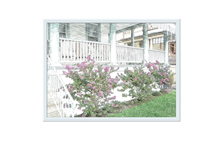 Porch with Hydrangeas