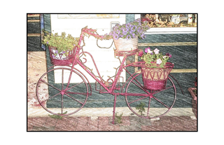 Bicycle with flowers by store