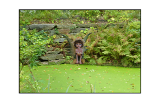 fairy by pond