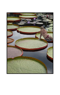 girl wearing thong bikini sitting on lily pad