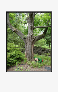 sleeping elf under tree