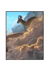 deer standing in clouds