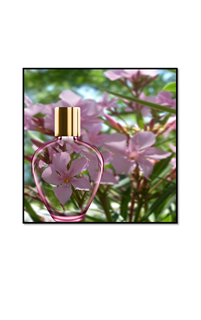 light pink flower in gold topped pink perfume bottle