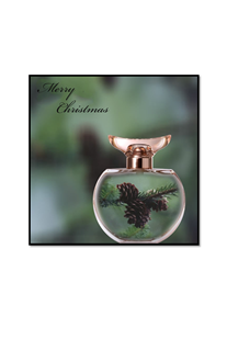 Christmas cones in a perfume bottle